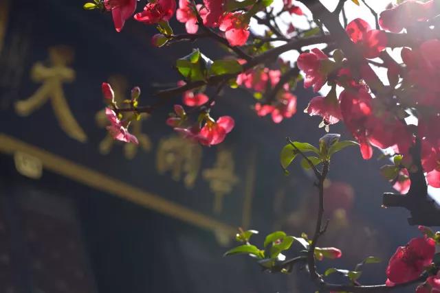 微信图片_20180430180222.jpg 微信图片_20180430180222.jpg