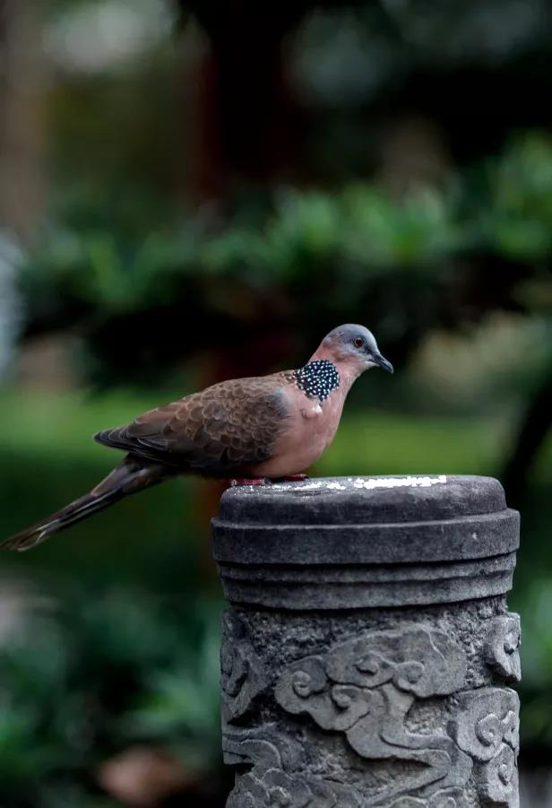 微信图片_20180430180423.jpg 微信图片_20180430180423.jpg