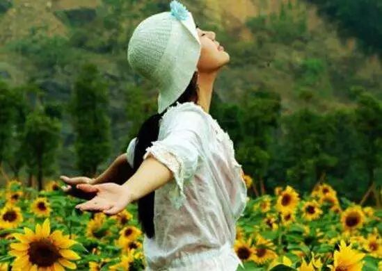 191916.jpg 191916.jpg