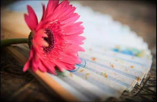 微信图片_20190312235947.jpg 微信图片_20190312235947.jpg