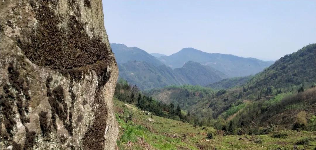 微信图片_20190413201414.jpg 微信图片_20190413201414.jpg