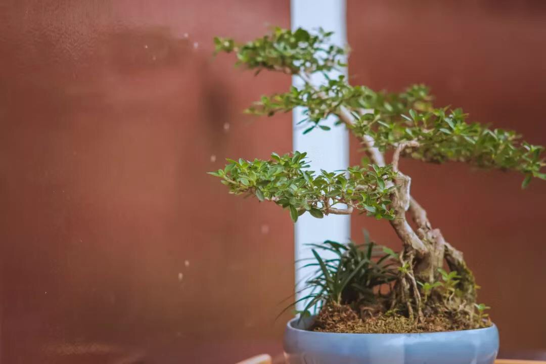 微信图片_20190909185538.jpg 微信图片_20190909185538.jpg