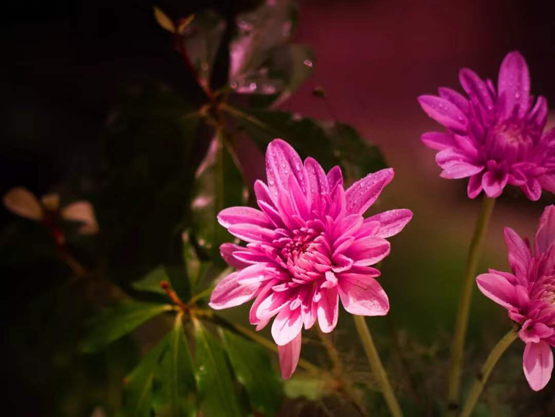 微信图片_20191115072953.jpg 微信图片_20191115072953.jpg