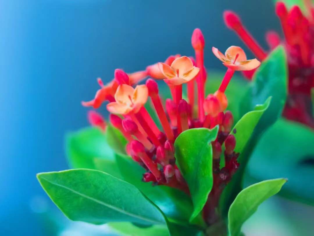 微信图片_20191115073006.jpg 微信图片_20191115073006.jpg