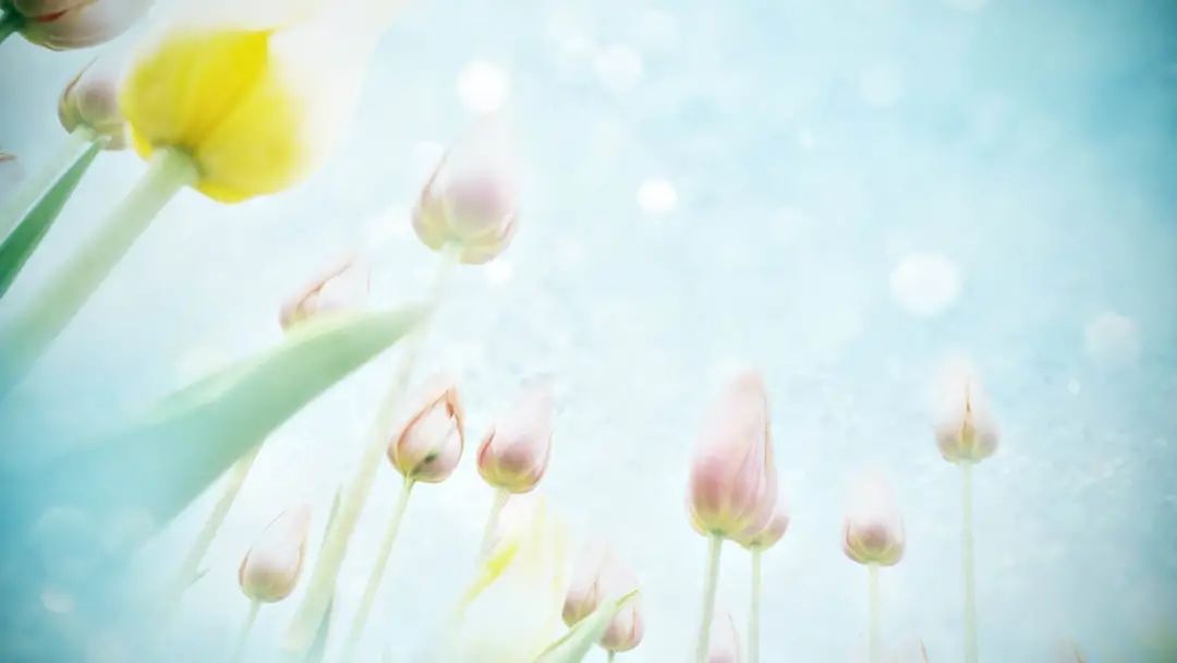 微信图片_20200812222019.jpg 微信图片_20200812222019.jpg