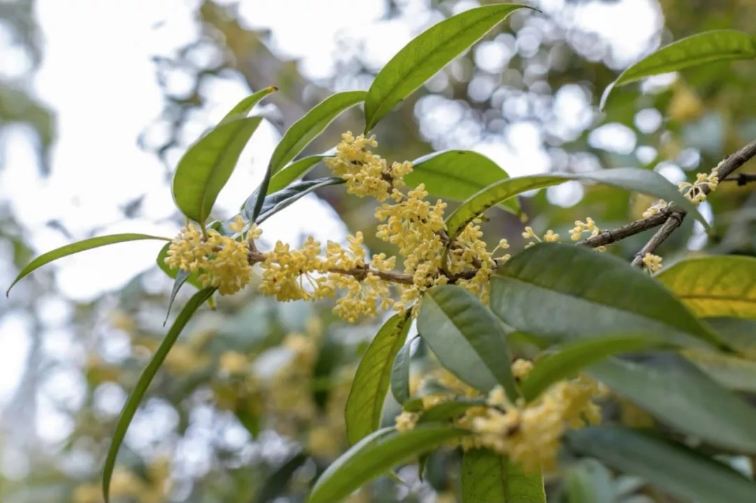 640.webp (62).jpg 640.webp (62).jpg